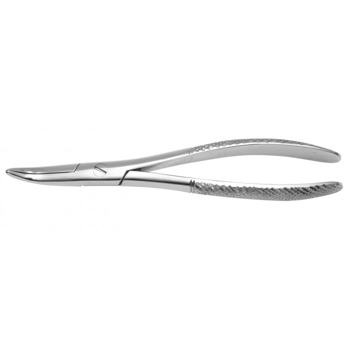 Small Animal Dental Forceps Fragment  16.5 cm